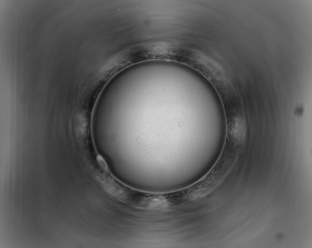 X0000102290715200807251422