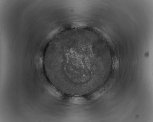 X0000102290716200807251422