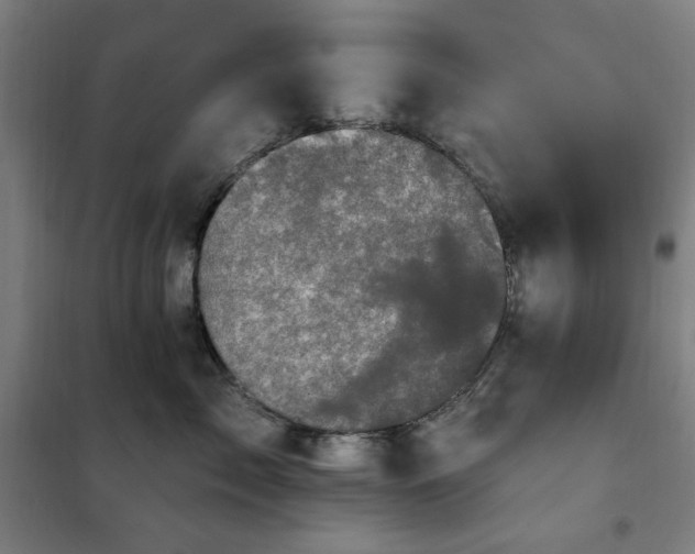 X0000102290717200807251422