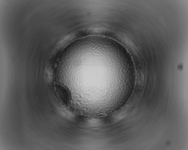 X0000102290718200807251422