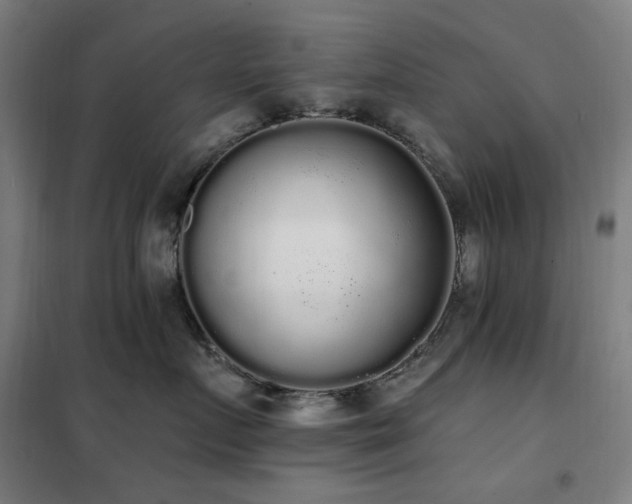 X0000102290719200807251422