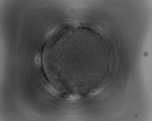 X0000102290720200807251422