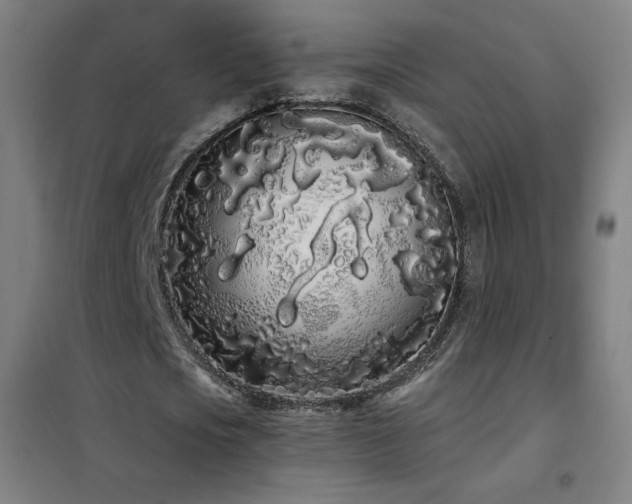 X0000102290721200807251421