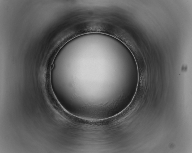 X0000102290722200807251421