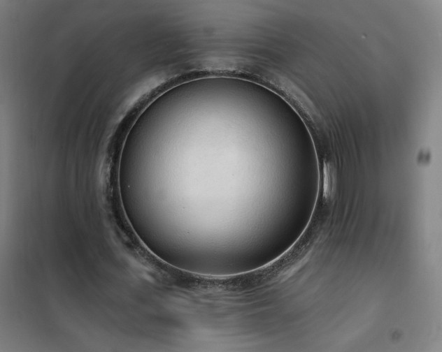 X0000102290723200807251421