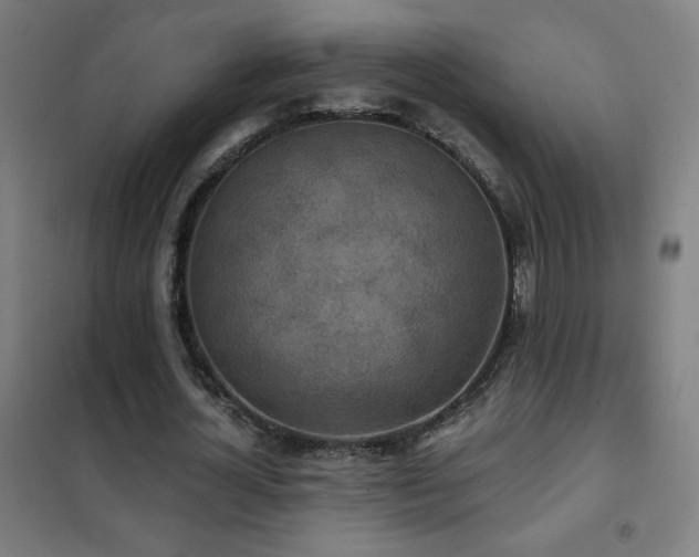 X0000102290724200807251421