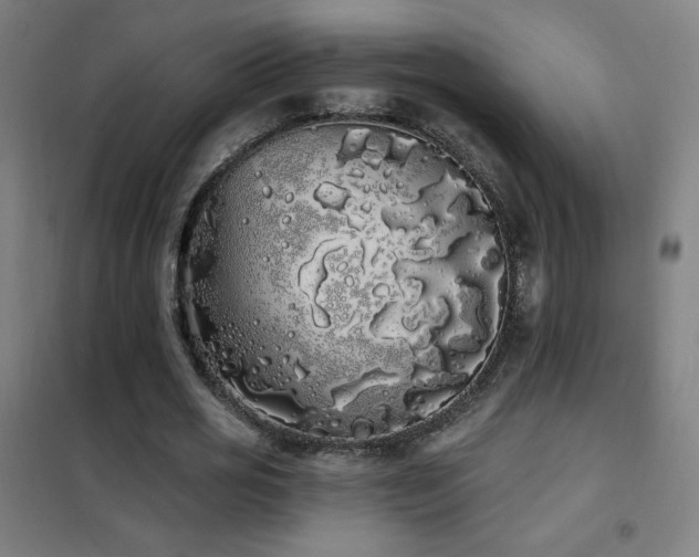 X0000102290725200807251421