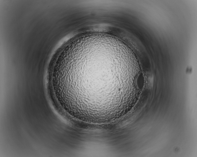 X0000102290726200807251421