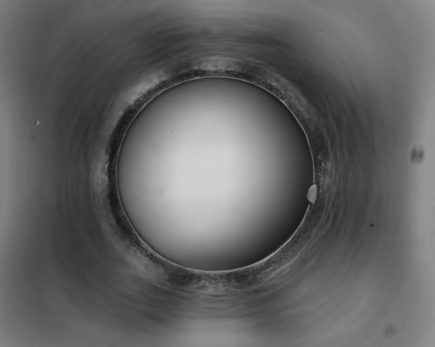 X0000102290727200807251421