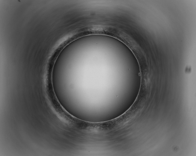 X0000102290728200807251421