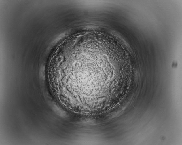 X0000102290729200807251421