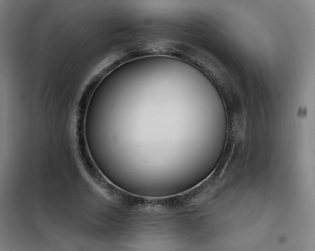 X0000102290730200807251421