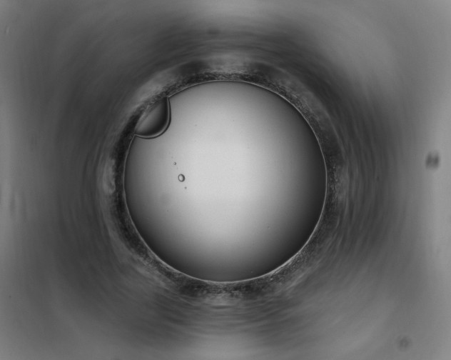 X0000102290731200807251421