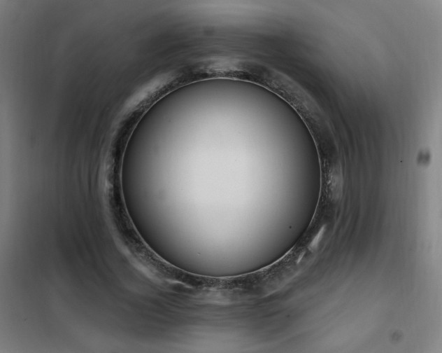 X0000102290732200807251421