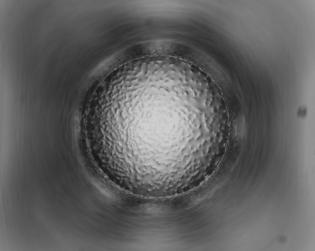 X0000102290733200807251421