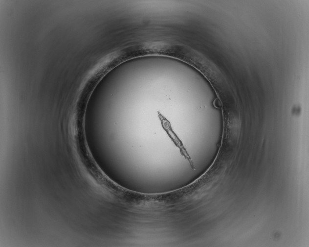 X0000102290734200807251421