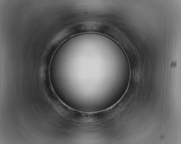 X0000102290735200807251421