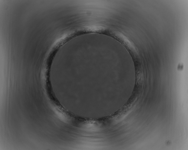 X0000102290736200807251421