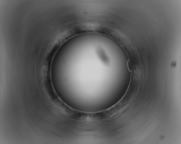 X0000102290739200807251421