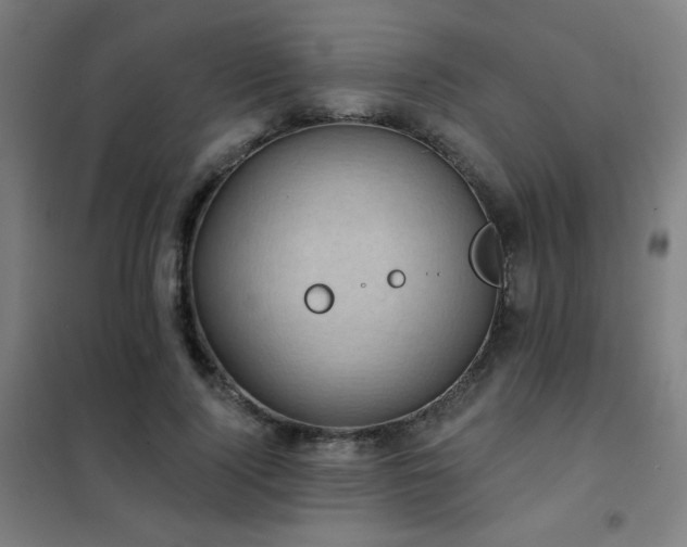 X0000102290740200807251421
