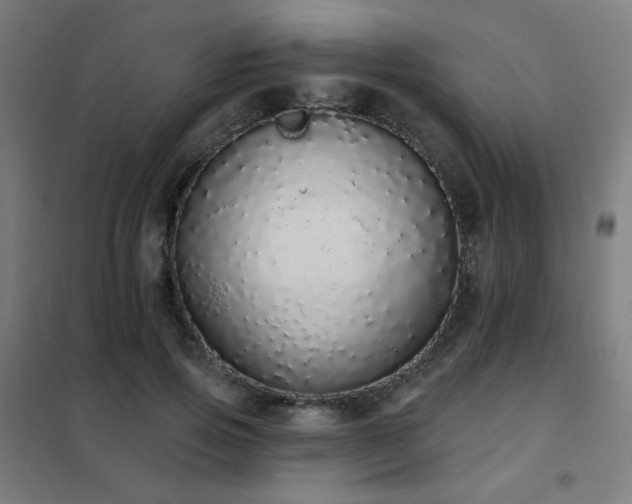 X0000102290741200807251421