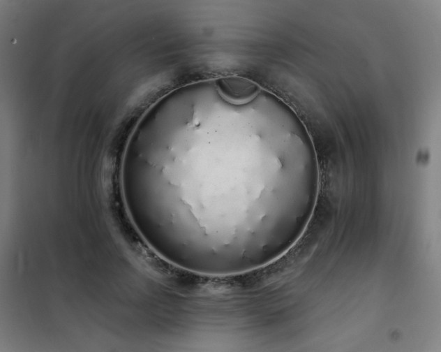X0000102290742200807251421