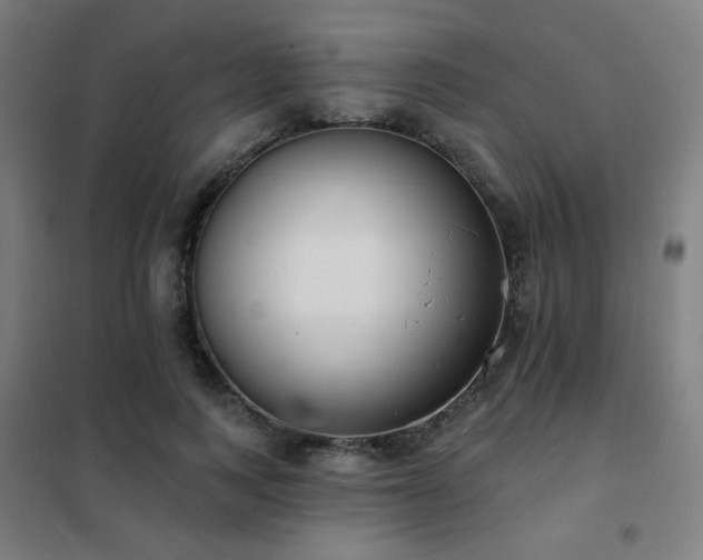 X0000102290743200807251421