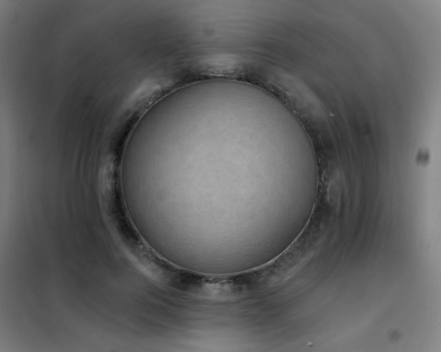 X0000102290744200807251421