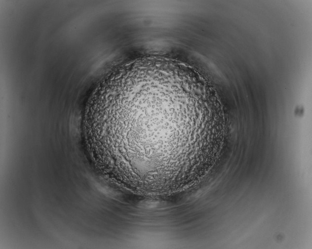 X0000102290745200807251421