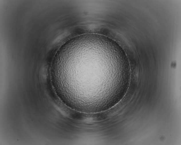 X0000102290746200807251421