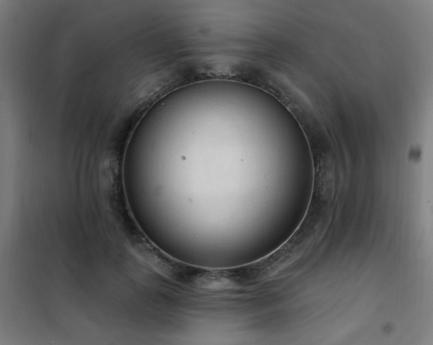 X0000102290747200807251421