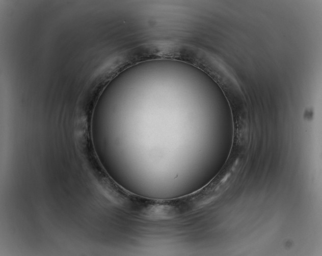 X0000102290748200807251421