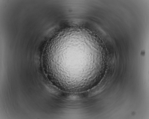X0000102290749200807251421