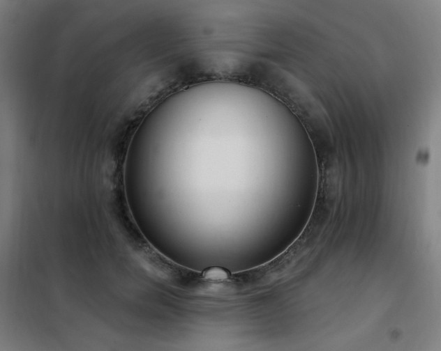X0000102290750200807251421