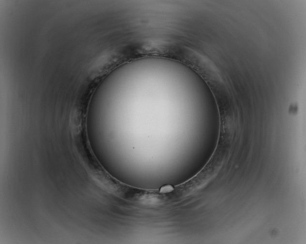 X0000102290751200807251421