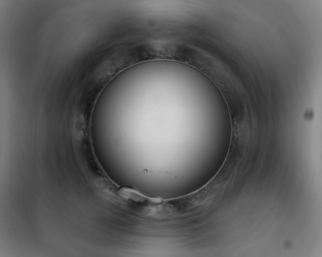 X0000102290752200807251421