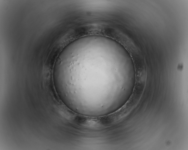 X0000102290753200807251421