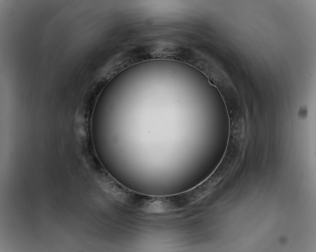 X0000102290755200807251421