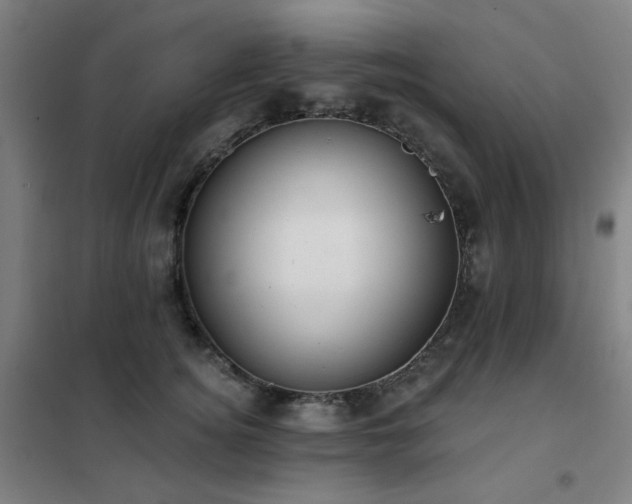 X0000102290756200807251422