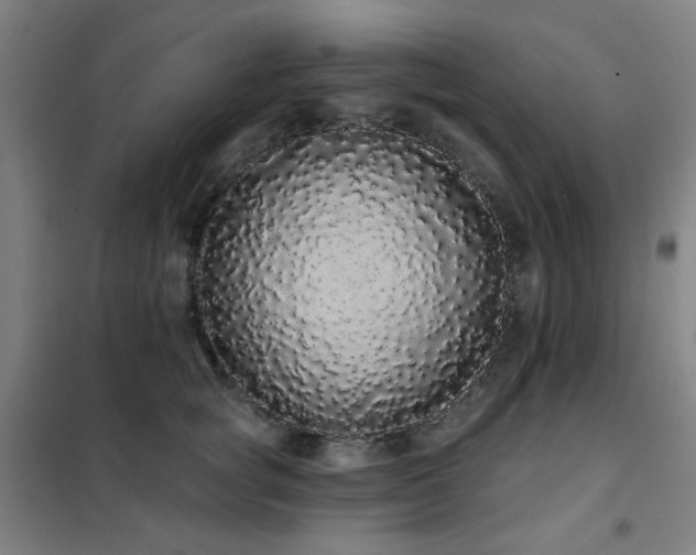 X0000102290757200807251422