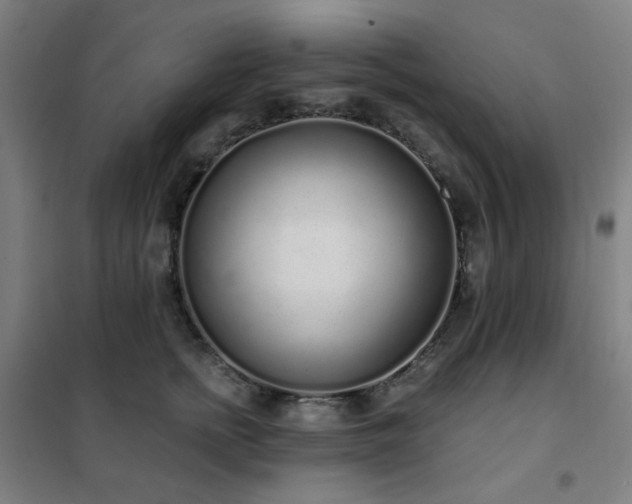 X0000102290758200807251422