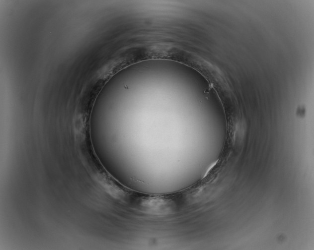 X0000102290759200807251422