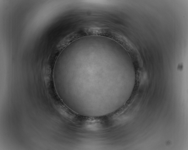 X0000102290760200807251422