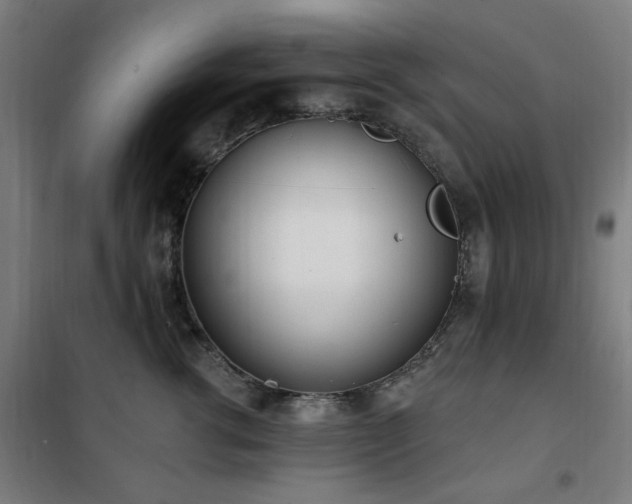 X0000102290762200807251422