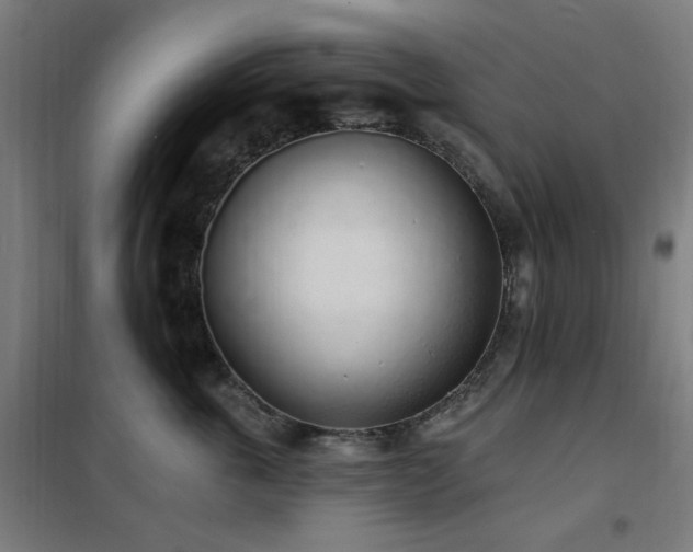 X0000102290763200807251422