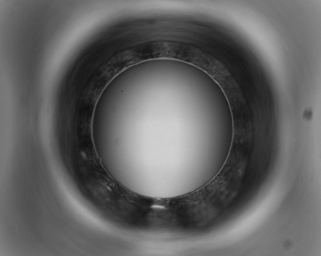 X0000102290766200807251422