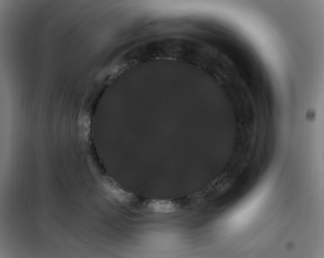 X0000102290767200807251422