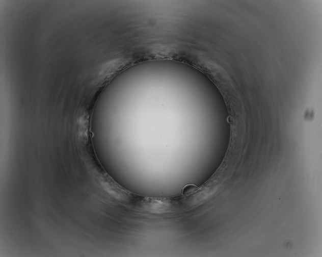 X0000102290768200807251422