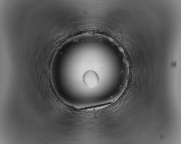 X0000102290769200807251421