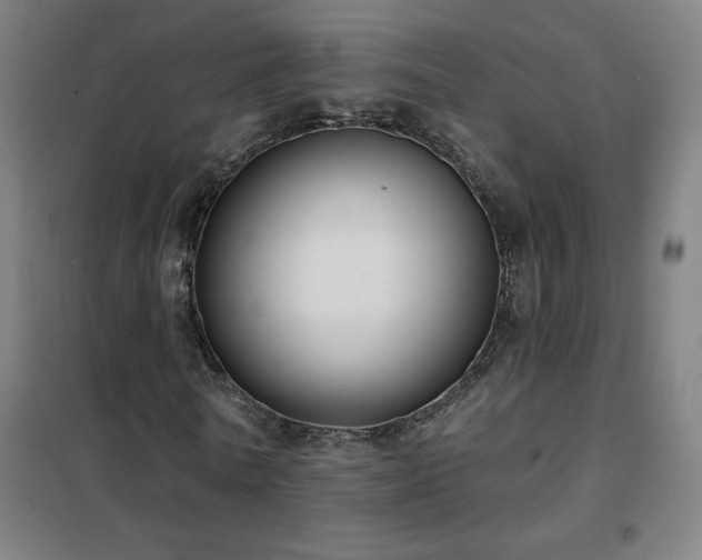 X0000102290770200807251421